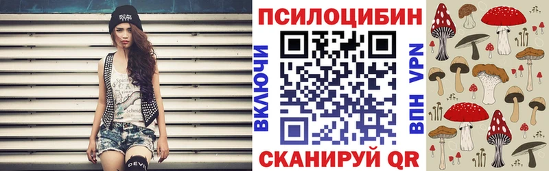 Купить закладки  Артёмовский  Псилоцибиновые грибы GOLDEN TEACHER 